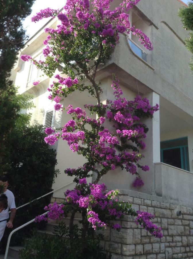 Guest house Punta Mira - Beachfront Novalja